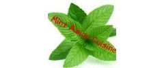 Mint Asian Cuisine Logo