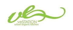 veStation Logo