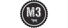 Twelve Stones Mobile Kitchens Logo