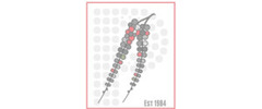 Peppercorns Restaurant logo