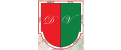 Dolce Vita logo