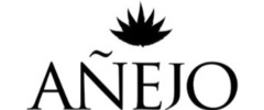 Anejo logo
