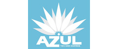 Azul Tex Mex Express logo