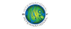 MF International logo