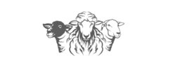 The Herd Cafe logo