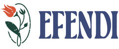 Cafe Efendi logo
