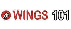 Wings 101 logo