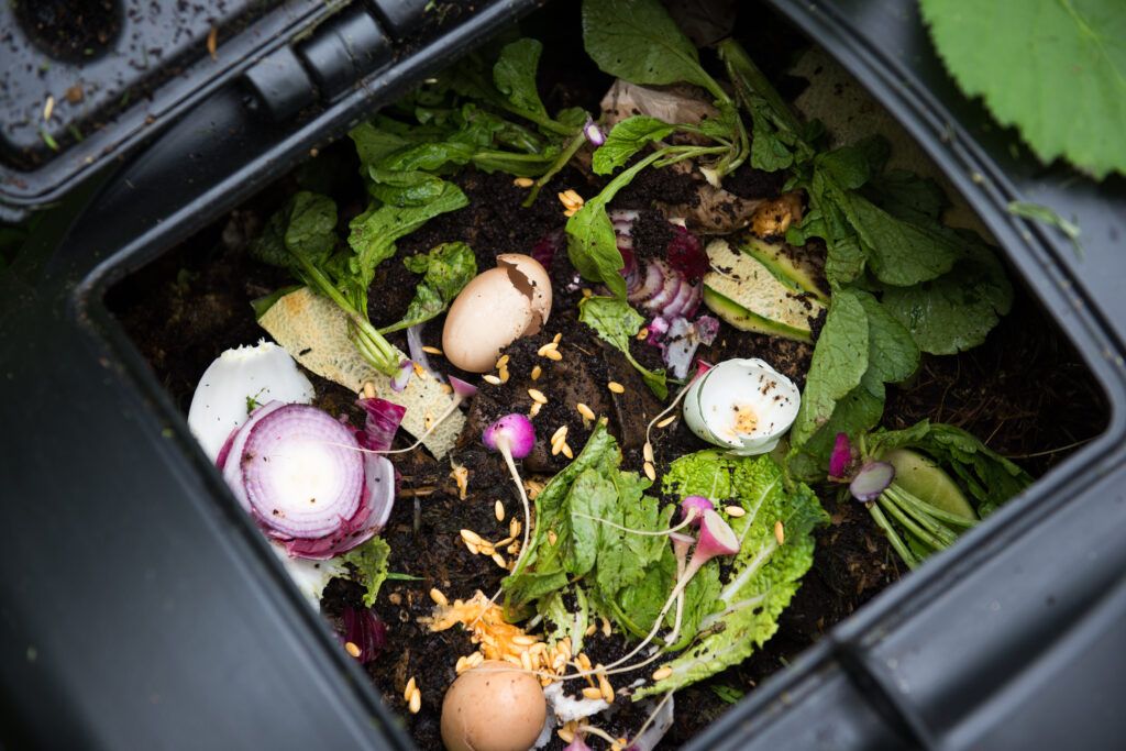 composting bin