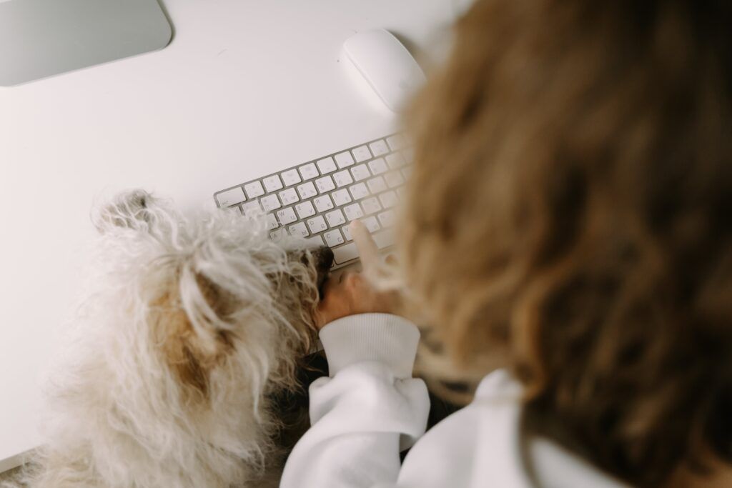 A dog at a desk.