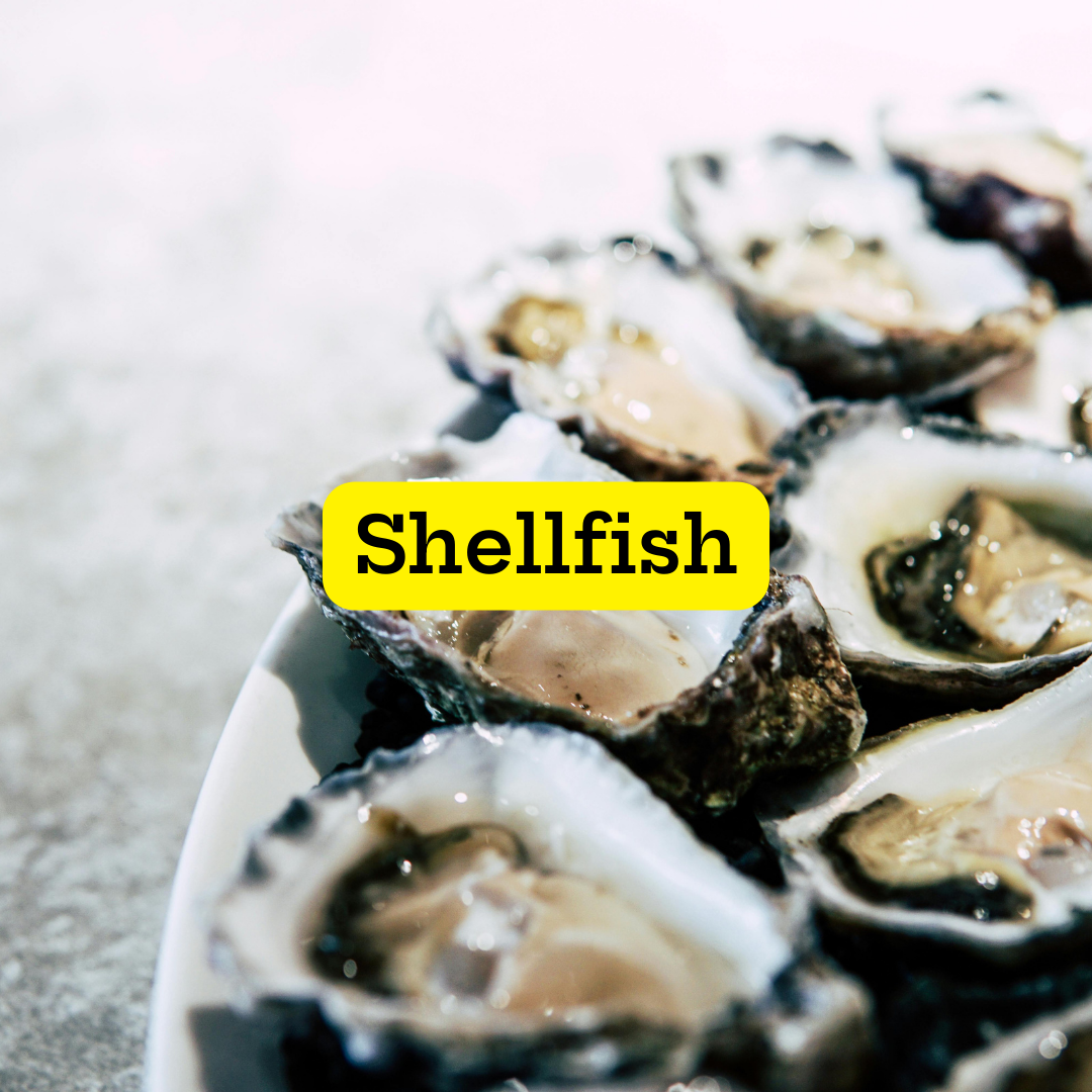 Shellfish